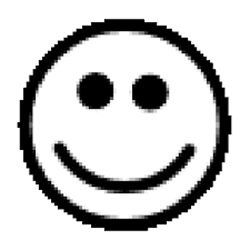 You Are An Idiot Web Virus